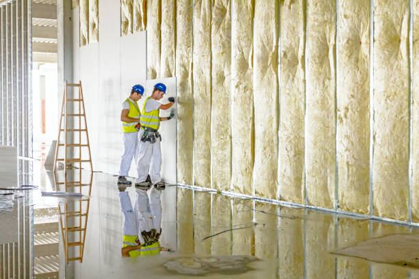 Best Commercial Insulation in Westminster, TX